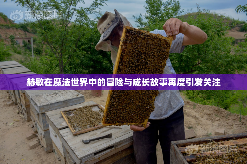 赫敏在魔法世界中的冒险与成长故事再度引发关注