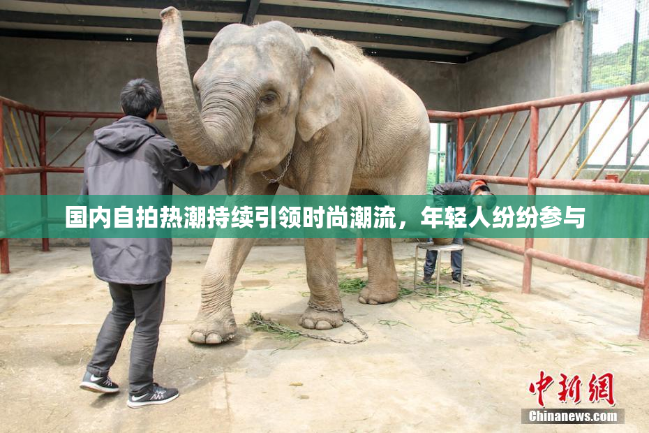 国内自拍热潮持续引领时尚潮流，年轻人纷纷参与