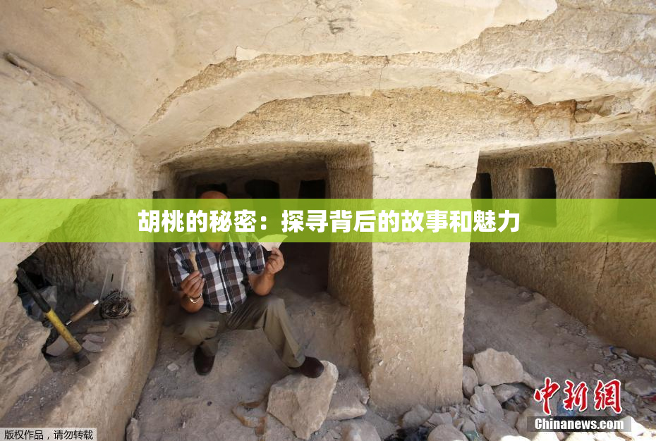 胡桃的秘密：探寻背后的故事和魅力