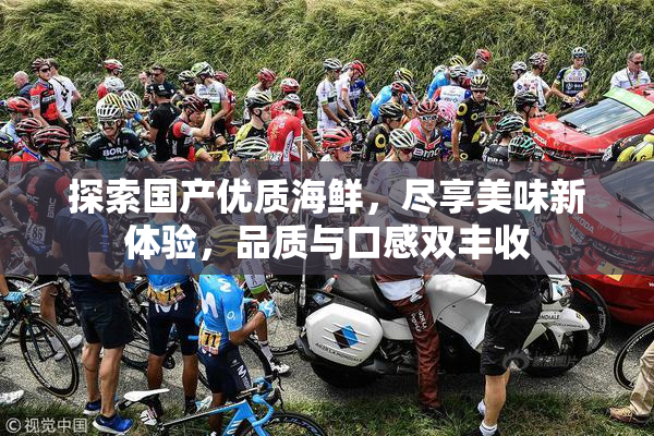 探索国产优质海鲜，尽享美味新体验，品质与口感双丰收