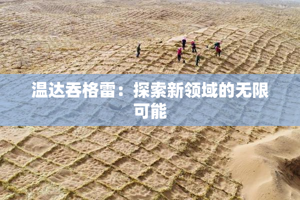 温达吞格雷：探索新领域的无限可能
