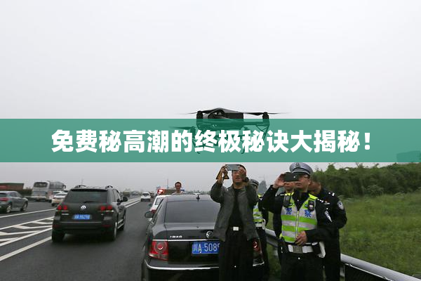 免费秘高潮的终极秘诀大揭秘！
