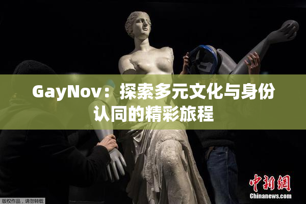 GayNov：探索多元文化与身份认同的精彩旅程