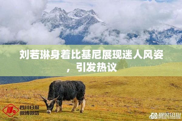 刘若琳身着比基尼展现迷人风姿，引发热议