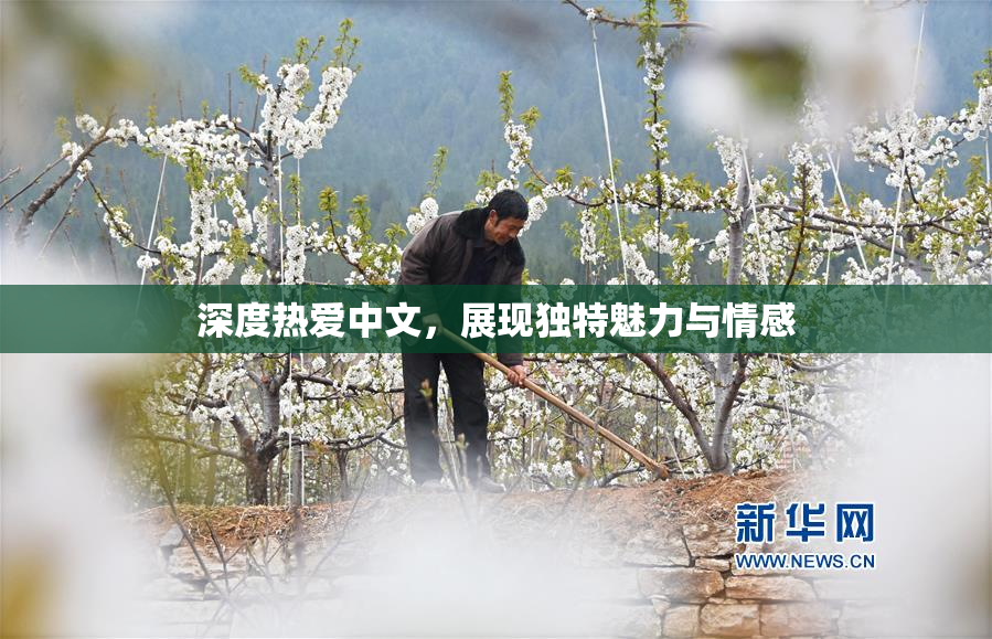 深度热爱中文，展现独特魅力与情感