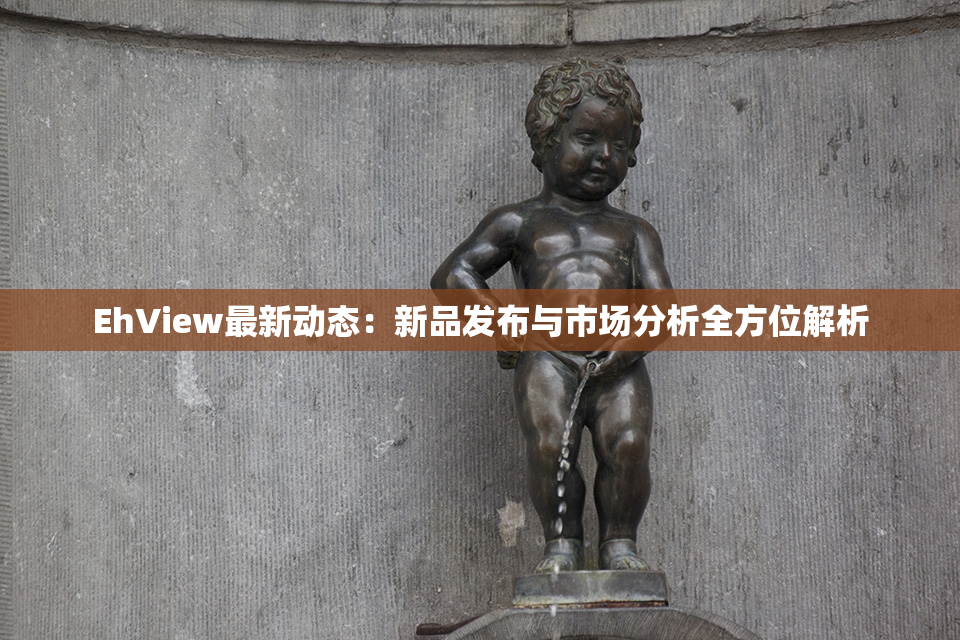 EhView最新动态：新品发布与市场分析全方位解析