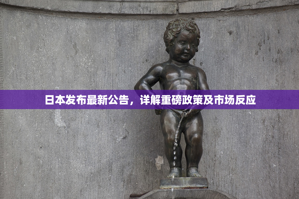 日本发布最新公告，详解重磅政策及市场反应