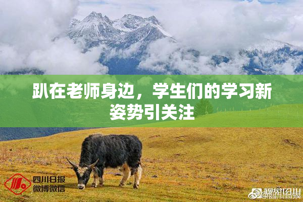 趴在老师身边，学生们的学习新姿势引关注