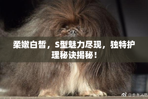 柔嫩白皙，S型魅力尽现，独特护理秘诀揭秘！