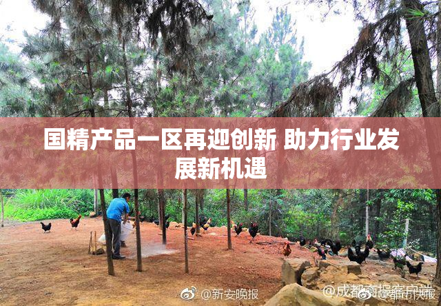 国精产品一区再迎创新 助力行业发展新机遇