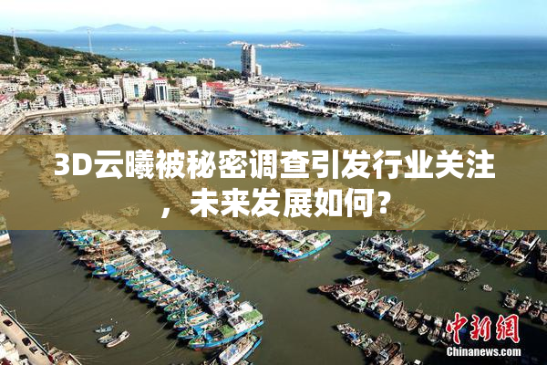 3D云曦被秘密调查引发行业关注，未来发展如何？