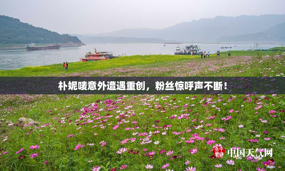 朴妮唛意外遭遇重创，粉丝惊呼声不断！