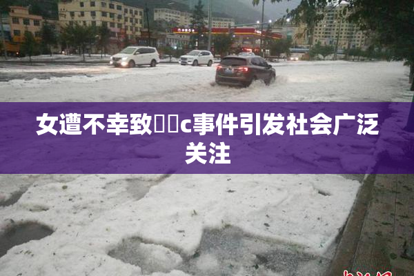女遭不幸致❌‌c事件引发社会广泛关注