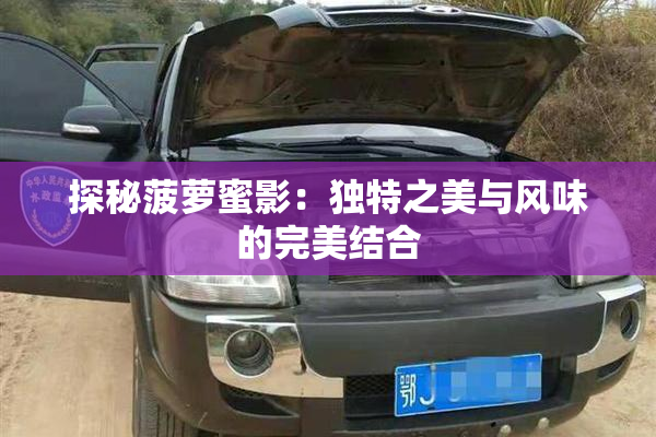 探秘菠萝蜜影：独特之美与风味的完美结合