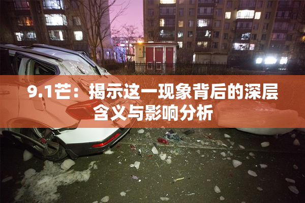 9.1芒：揭示这一现象背后的深层含义与影响分析