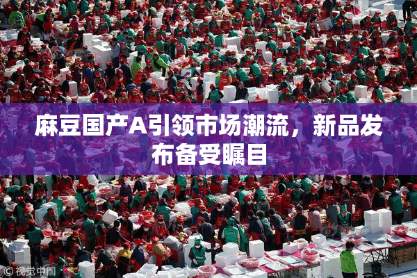 麻豆国产A引领市场潮流，新品发布备受瞩目