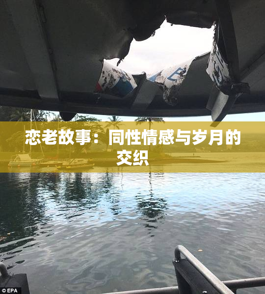 恋老故事：同性情感与岁月的交织