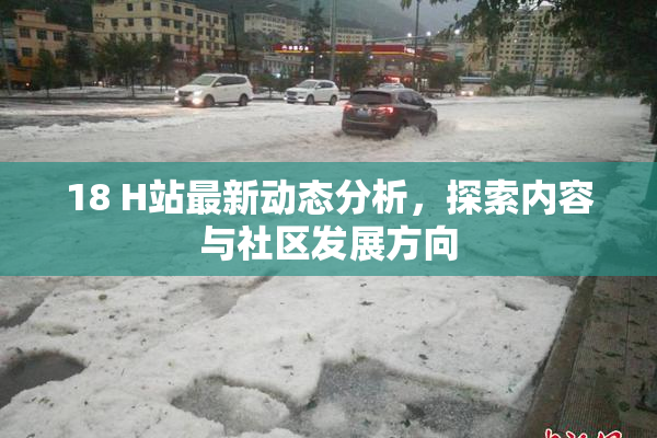 18 H站最新动态分析，探索内容与社区发展方向
