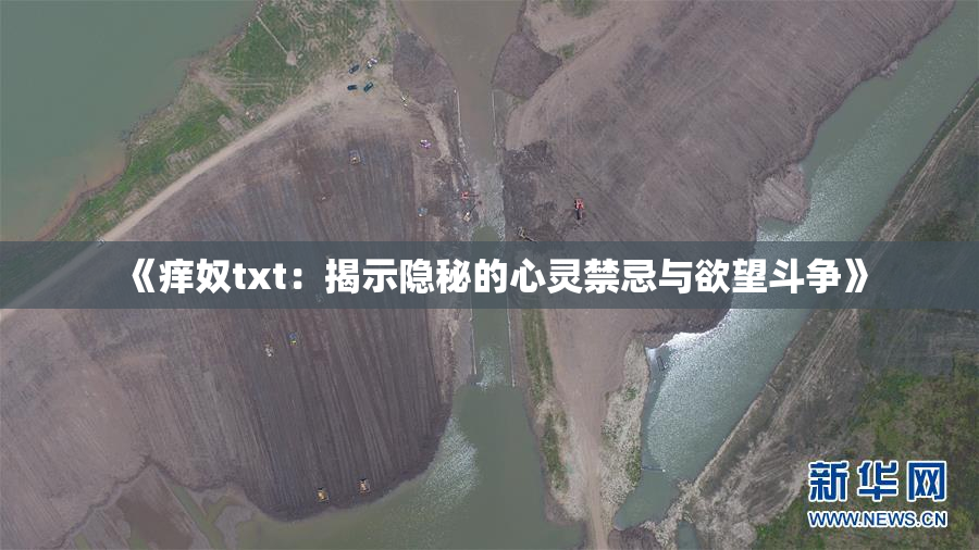 《痒奴txt：揭示隐秘的心灵禁忌与欲望斗争》