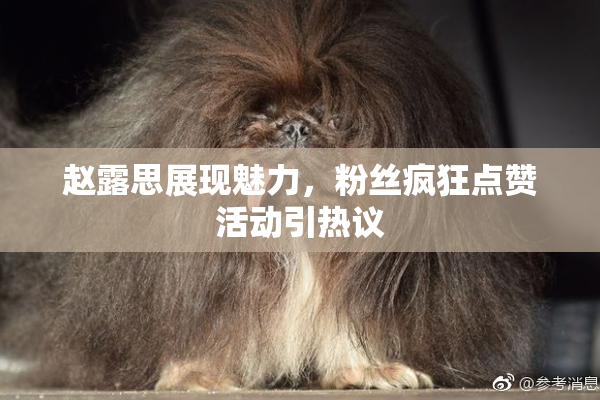 赵露思展现魅力，粉丝疯狂点赞活动引热议