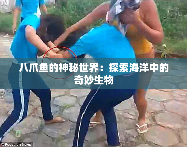 八爪鱼的神秘世界：探索海洋中的奇妙生物