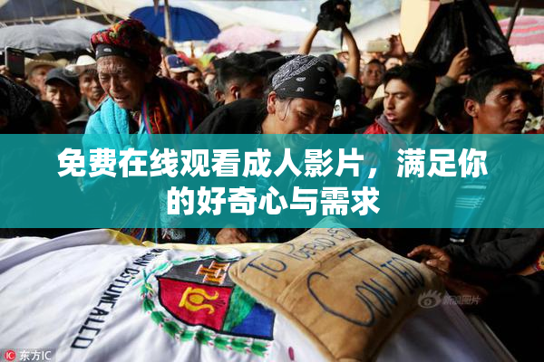 免费在线观看成人影片，满足你的好奇心与需求