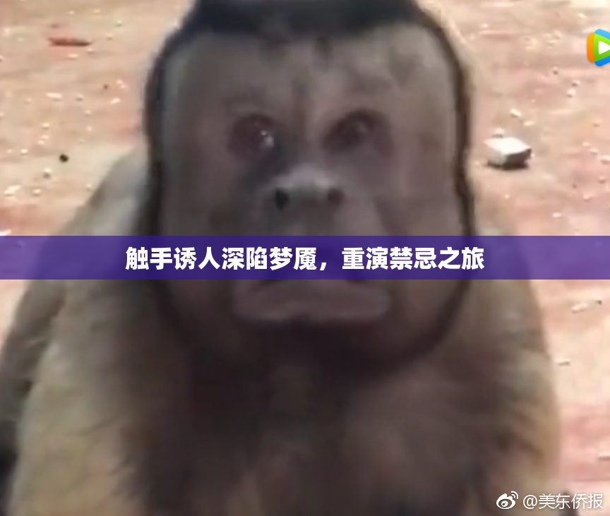 触手诱人深陷梦魇，重演禁忌之旅