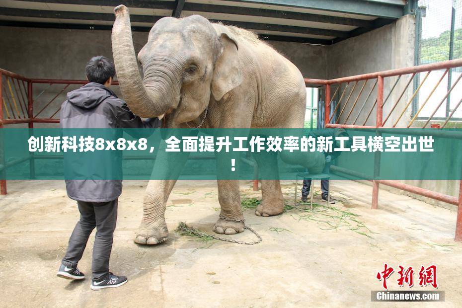 创新科技8x8x8，全面提升工作效率的新工具横空出世！