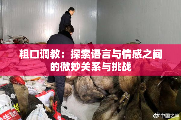 粗口调教：探索语言与情感之间的微妙关系与挑战