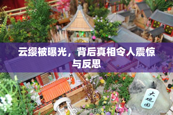 云缨被曝光，背后真相令人震惊与反思