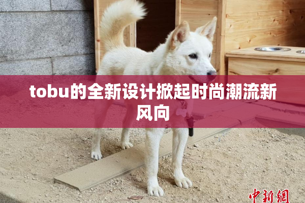 tobu的全新设计掀起时尚潮流新风向