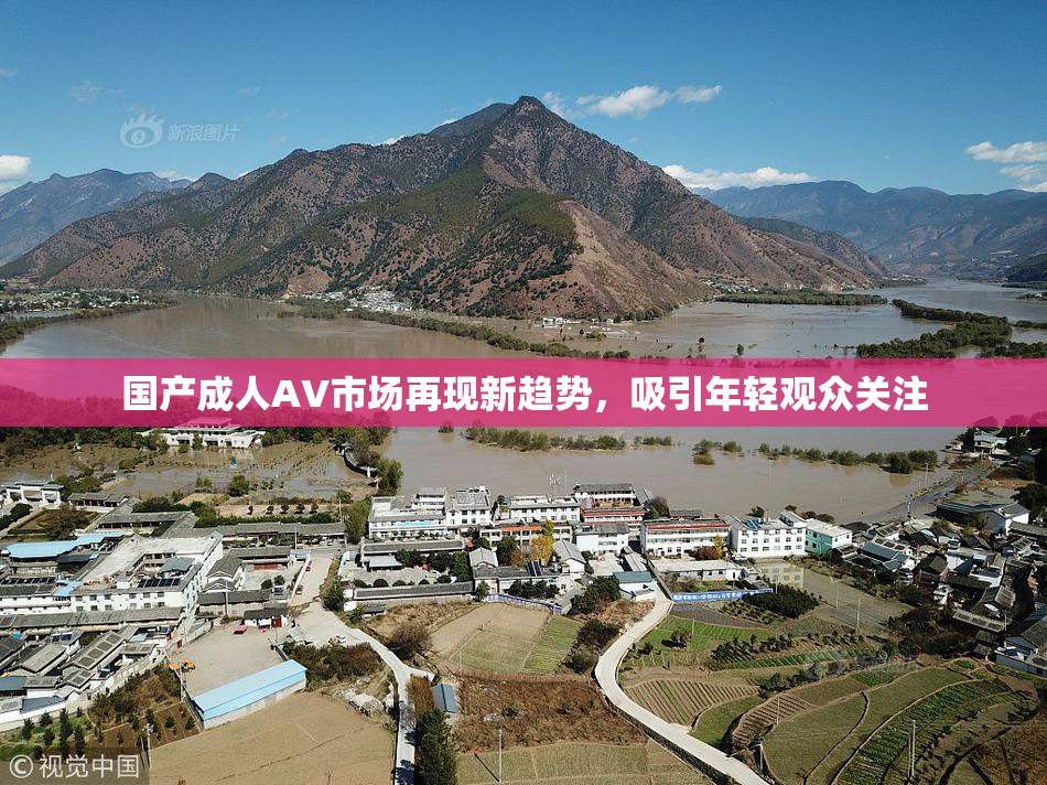 国产成人AV市场再现新趋势，吸引年轻观众关注