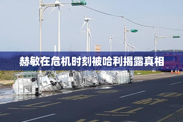 赫敏在危机时刻被哈利揭露真相