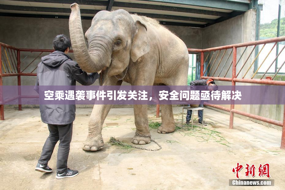 空乘遇袭事件引发关注，安全问题亟待解决