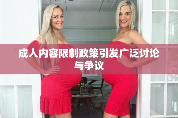成人内容限制政策引发广泛讨论与争议