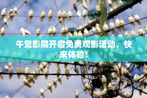 午觉影院开启免费观影活动，快来体验！