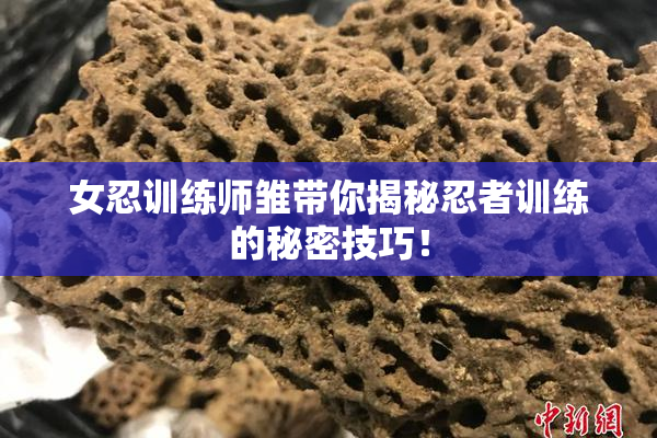 女忍训练师雏带你揭秘忍者训练的秘密技巧！