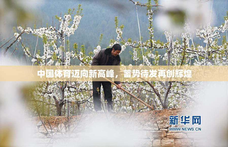 中国体育迈向新高峰，蓄势待发再创辉煌