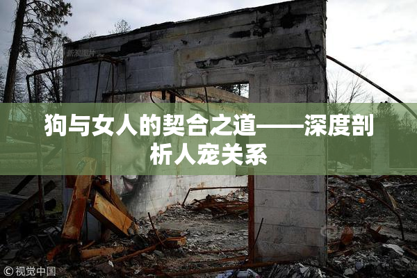 狗与女人的契合之道——深度剖析人宠关系