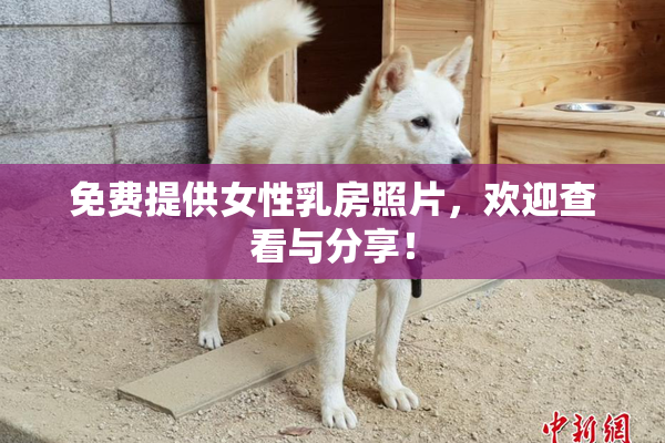 免费提供女性乳房照片，欢迎查看与分享！