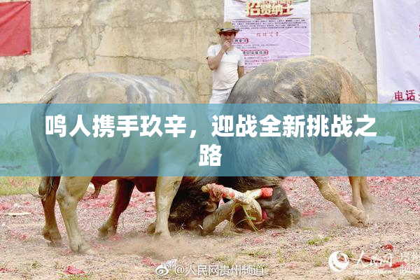 鸣人携手玖辛，迎战全新挑战之路