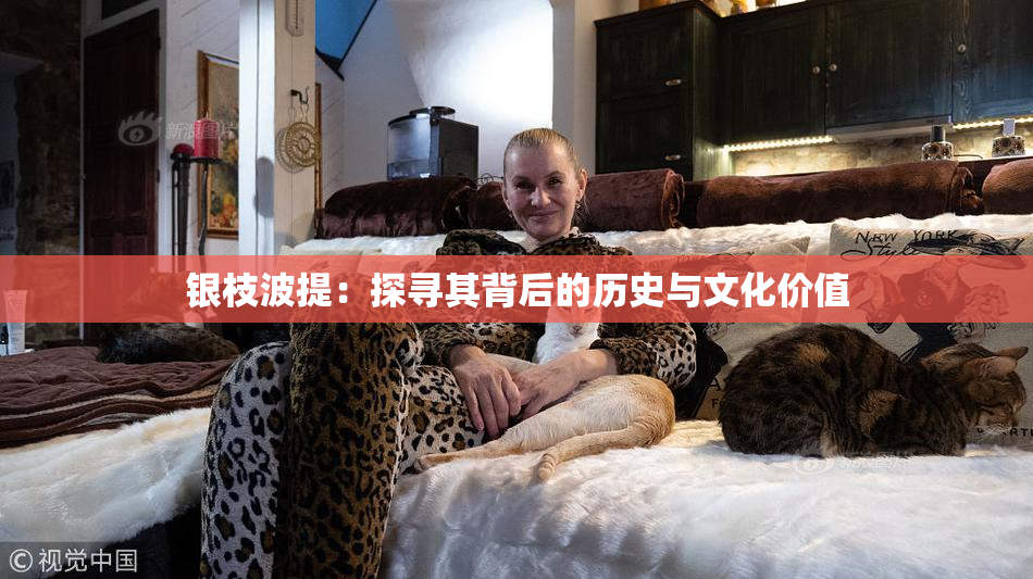 银枝波提：探寻其背后的历史与文化价值
