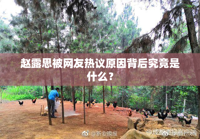 赵露思被网友热议原因背后究竟是什么？