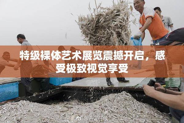 特级裸体艺术展览震撼开启，感受极致视觉享受