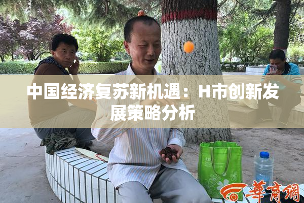 中国经济复苏新机遇：H市创新发展策略分析
