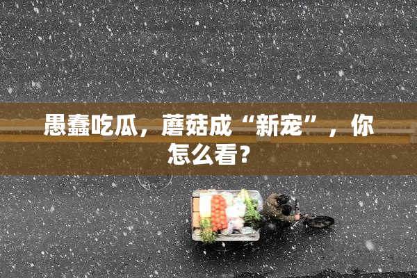 愚蠢吃瓜，蘑菇成“新宠”，你怎么看？