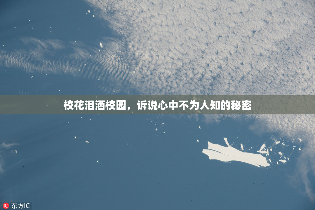 校花泪洒校园，诉说心中不为人知的秘密