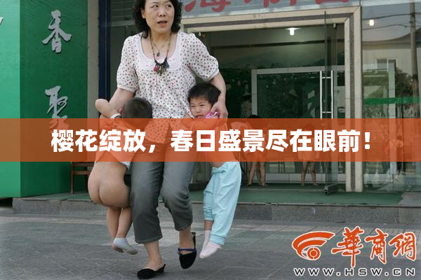 樱花绽放，春日盛景尽在眼前！