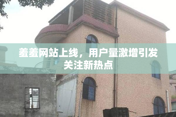 羞羞网站上线，用户量激增引发关注新热点