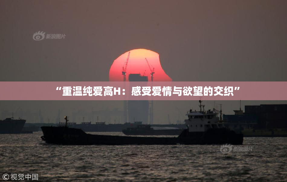 “重温纯爱高H：感受爱情与欲望的交织”